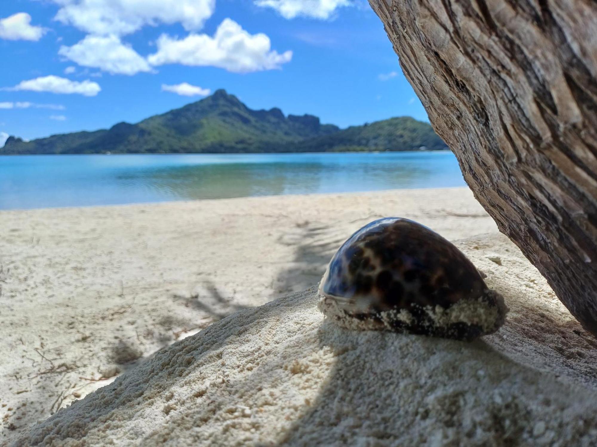 Poemanahere Island Camping A Maupiti Te-Fare-Arii エクステリア 写真