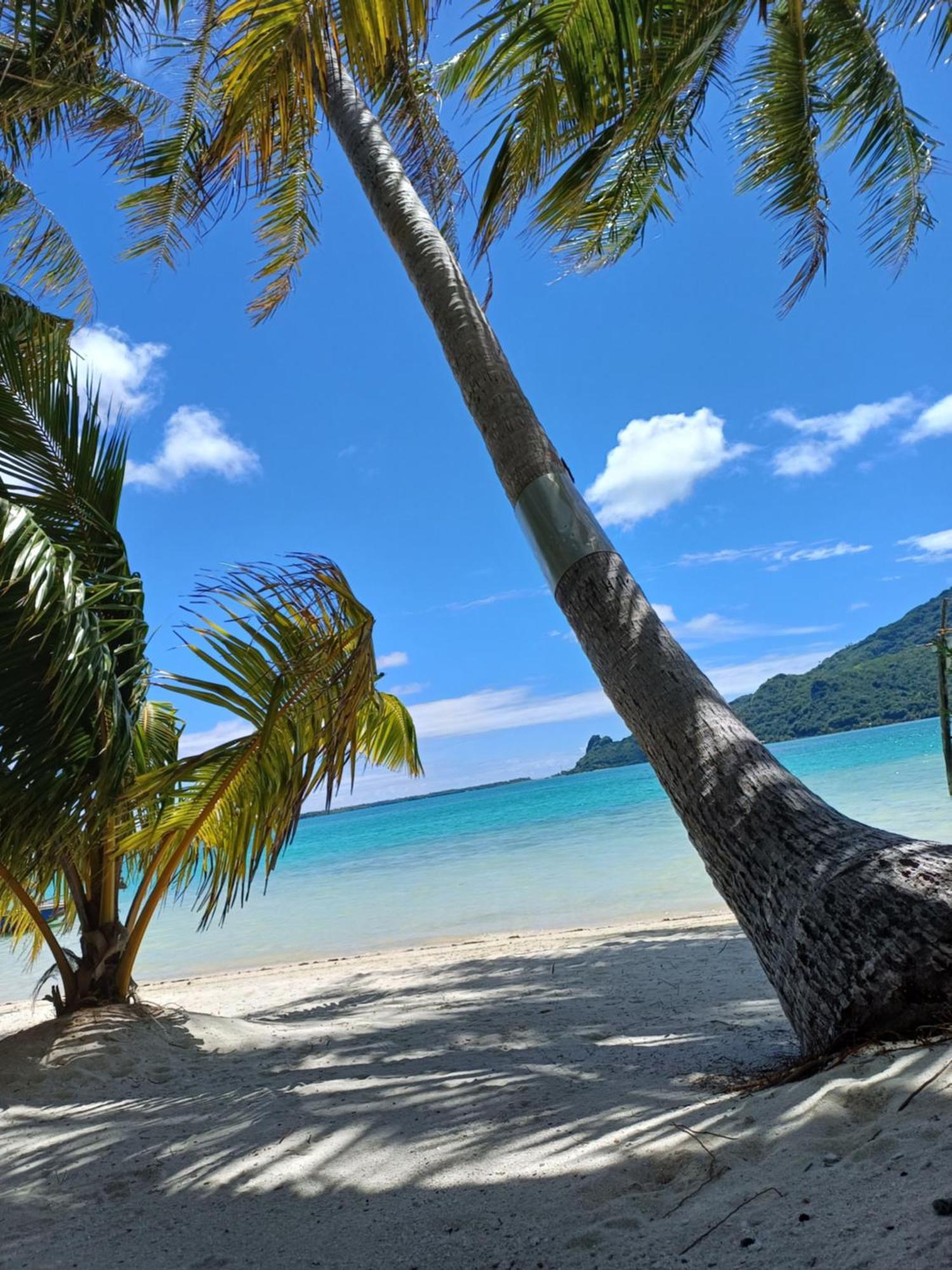 Poemanahere Island Camping A Maupiti Te-Fare-Arii エクステリア 写真