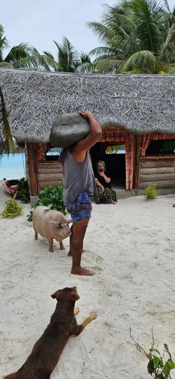 Poemanahere Island Camping A Maupiti Te-Fare-Arii エクステリア 写真