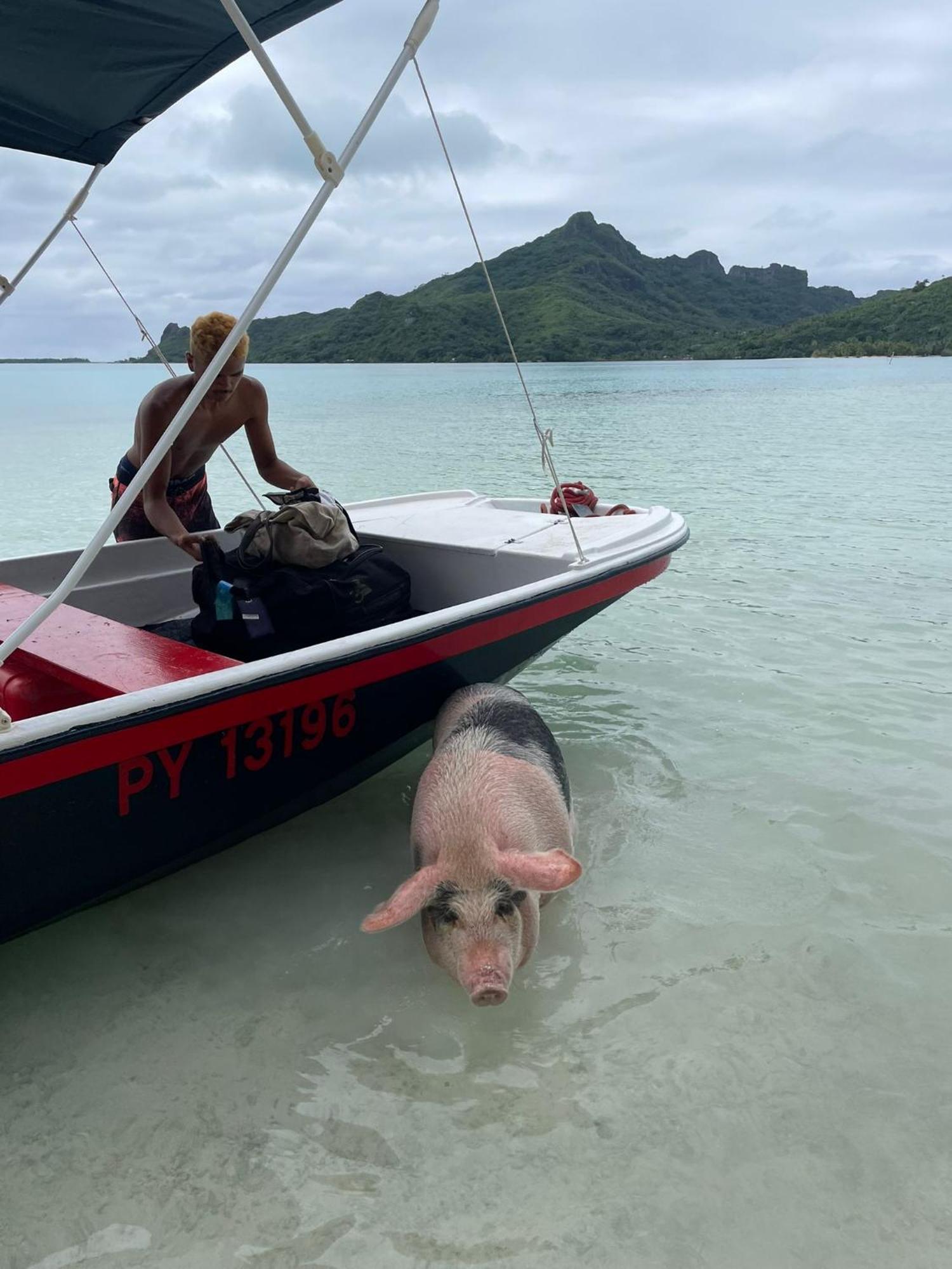 Poemanahere Island Camping A Maupiti Te-Fare-Arii エクステリア 写真