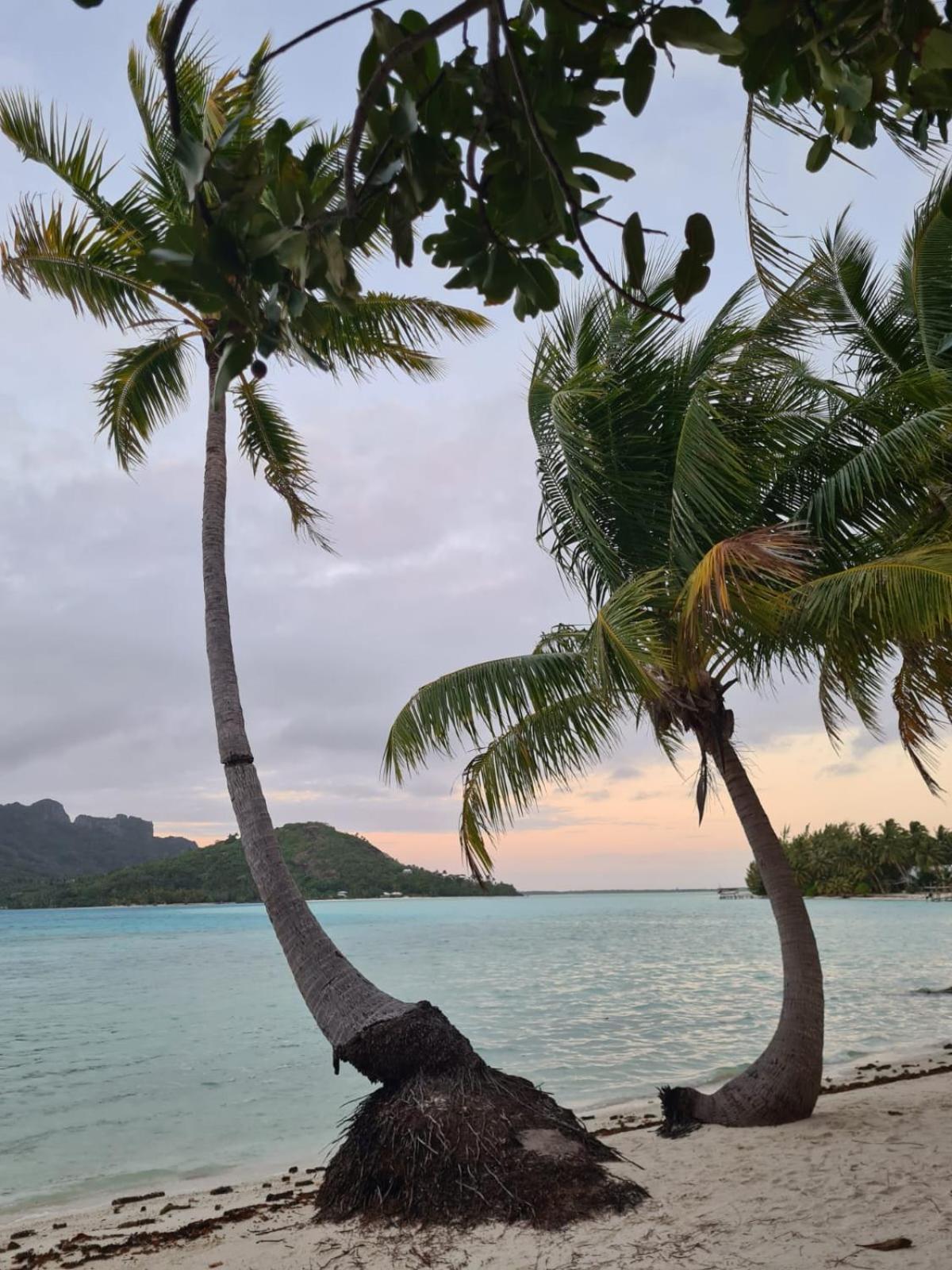 Poemanahere Island Camping A Maupiti Te-Fare-Arii エクステリア 写真